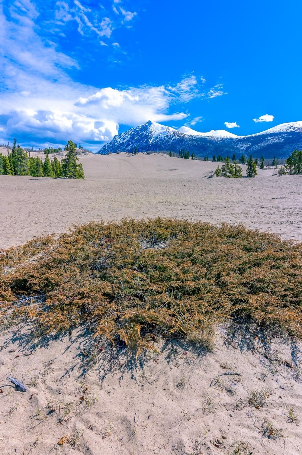 carousel-hero-element image-1