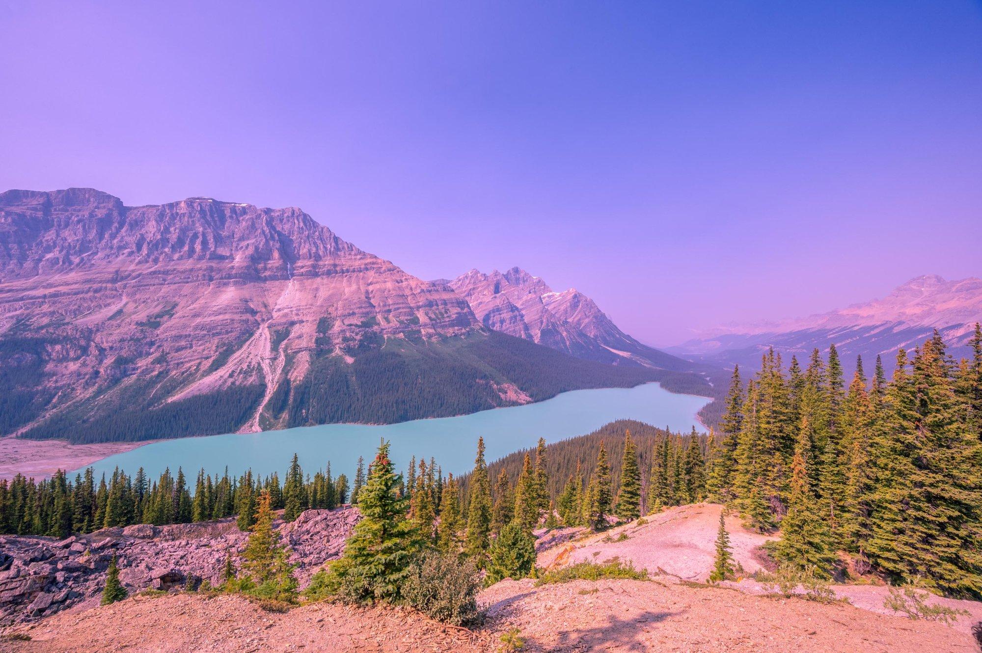 carousel-hero-element image-0